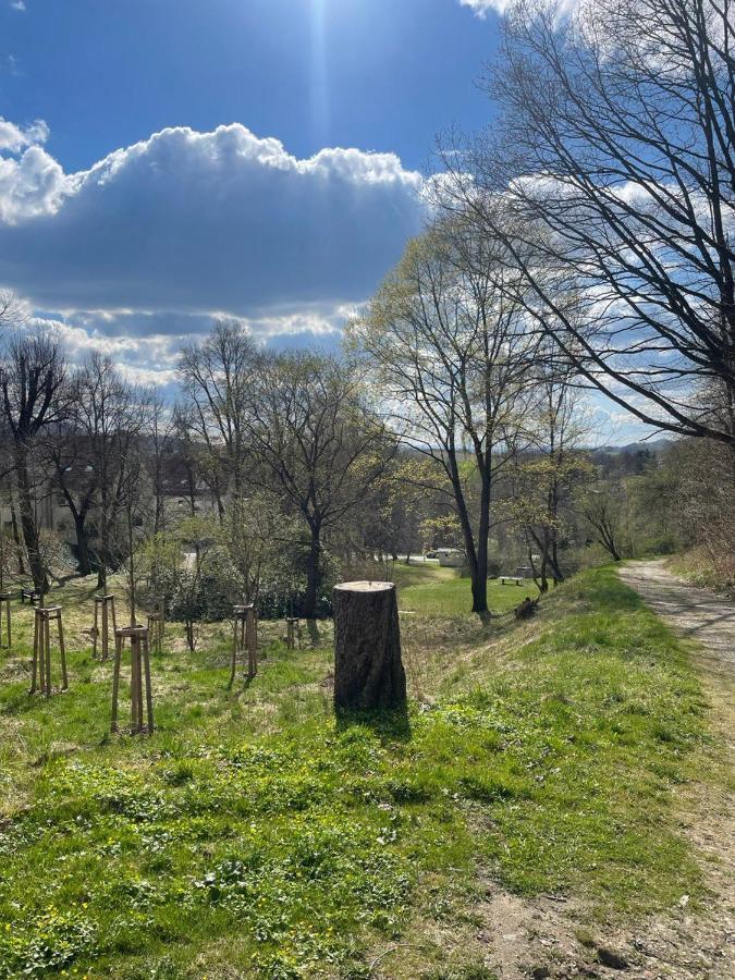 Bergblick Apartment SäChsische Schweiz Sebnitz Εξωτερικό φωτογραφία