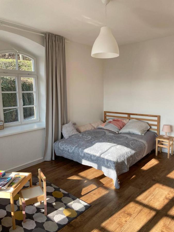 Bergblick Apartment SäChsische Schweiz Sebnitz Εξωτερικό φωτογραφία